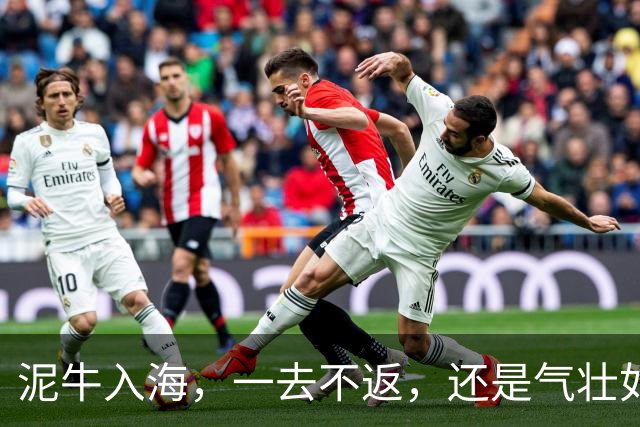 泥牛入海，一去不返，还是气壮如牛，卷土重来？这些新星给出了答案